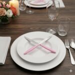 کارد تک 12 پارچه میوه خوری رم یونیک کد 6325