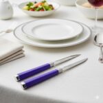 کارد تک آلفا یونیک 12 پارچه کد 5833