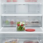 ظرف فریزری 4 تایی دربدار پاشاباغچه کد 96615 - Image 6