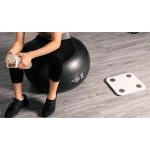 ترازو هوشمند شیائومی XMTZC05HM - Image 2