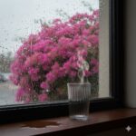 لیوان شفاف ایکیا IKEA-VARDAGEN (6 تایی) - Image 2