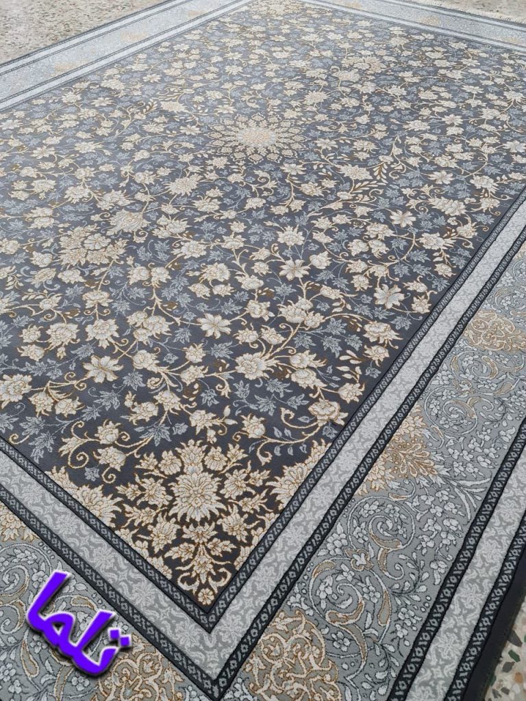 photo 2024 09 24 22 36 28