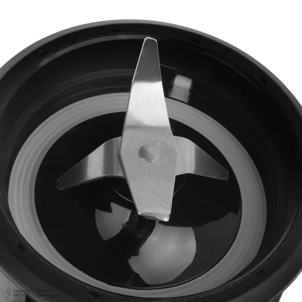 مخلوط کن و آسیاب کن رنه مدل RBCG-1701 - Image 4