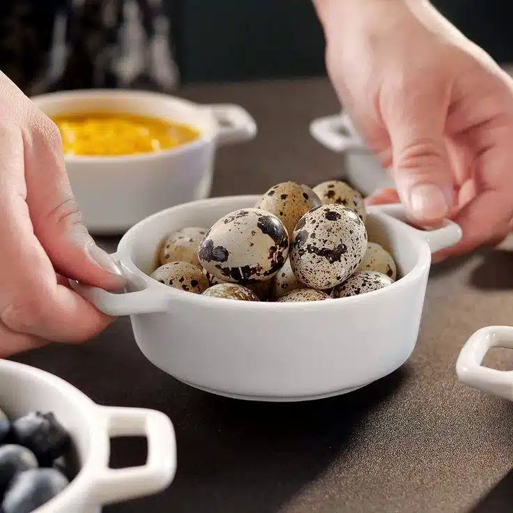 photo_2024-12-07_12-13-31  پیاله سوپنیک پرنس هوم - Image 3