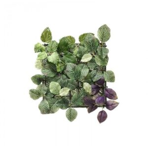 گیاه مصنوعی دیواری ایکیا مدل FEJKA