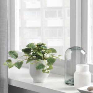 بوته گیاه فیتونیا یا برگ موزاییکی ایکیا مدل FEJKA - تصویر 2