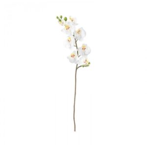شاخه گل ارکیده سفید ایکیا مدل SMYCKA سایز 60 سانتی متری