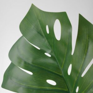 برگ گیاه مونسترا ایکیا مدل SMYCKA سایز 80 cm - تصویر 2