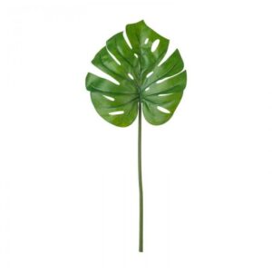 برگ گیاه مونسترا ایکیا مدل SMYCKA سایز 80 cm