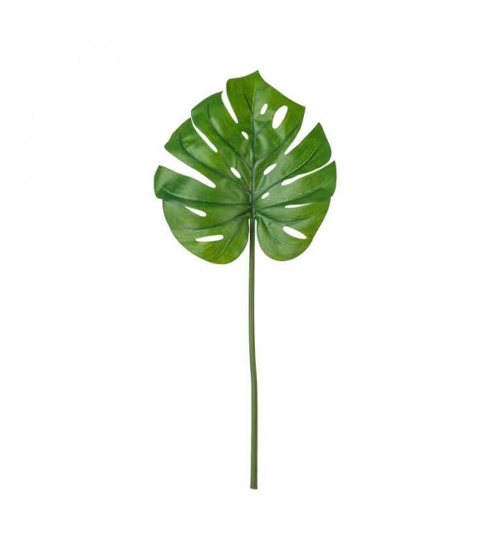 برگ گیاه مونسترا ایکیا مدل SMYCKA سایز 80 cm برگ گیاه مونسترا ایکیا مدل SMYCKA سایز 80 cm