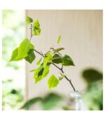 شمع بلوکی معطر ایکیا مدل ADLAD - تصویر 3