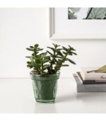 شمع معطر ایکیا مدل VALDOFT رایحه شبنم و گیاه - تصویر 3