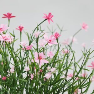 بوته مصنوعی گل عروس ایکیا مدل FEJKA - تصویر 2