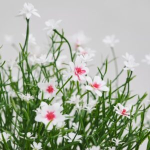بوته مصنوعی گل عروس ایکیا مدل FEJKA رنگ سفید - تصویر 2