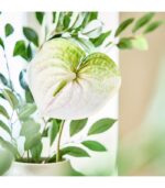 شاخه گل آنتوریوم ایکیا مدل FEJKA - تصویر 4