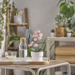 بوته گل ارکیده بنفش ایکیا مدل FEJKA - تصویر 2