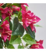 بوته مصنوعی گل کاغذی ایکیا مدل FEJKA - تصویر 2