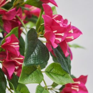 بوته مصنوعی گل کاغذی ایکیا مدل FEJKA - تصویر 2