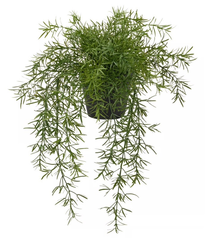 بوته گیاه مارچوبه ایکیا مدل FEJKA بوته گیاه مارچوبه ایکیا مدل FEJKA
