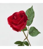 شاخه گل رز قرمز ایکیا مدل SMYCKA - تصویر 2