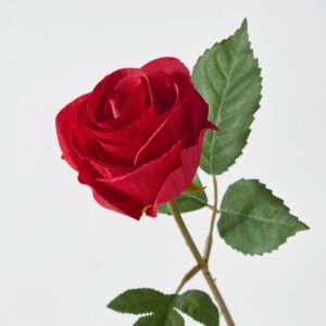 شاخه گل رز قرمز ایکیا مدل SMYCKA - تصویر 2