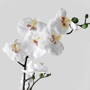 گل ارکیده سفید ایکیا مدل SMYCKA سایز ۲۸ سانتی متری