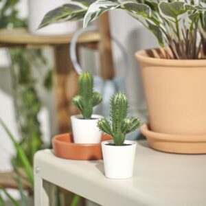 کاکتوس ایکیا مدل FEJKA - تصویر 2