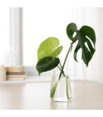پارچ آب ایکیا مدل KARAFF - تصویر 6