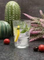 لیوان پاشاباغچه مدل لینا کد ۵۲۹۵۲