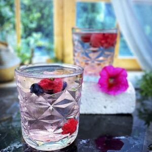 نیم لیوان پاشاباغچه مدل استرلا کد ۵۲۰۵۴۲